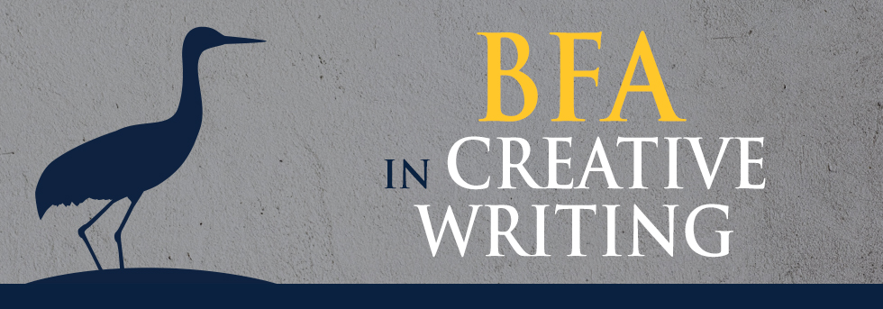 creative writing bfa