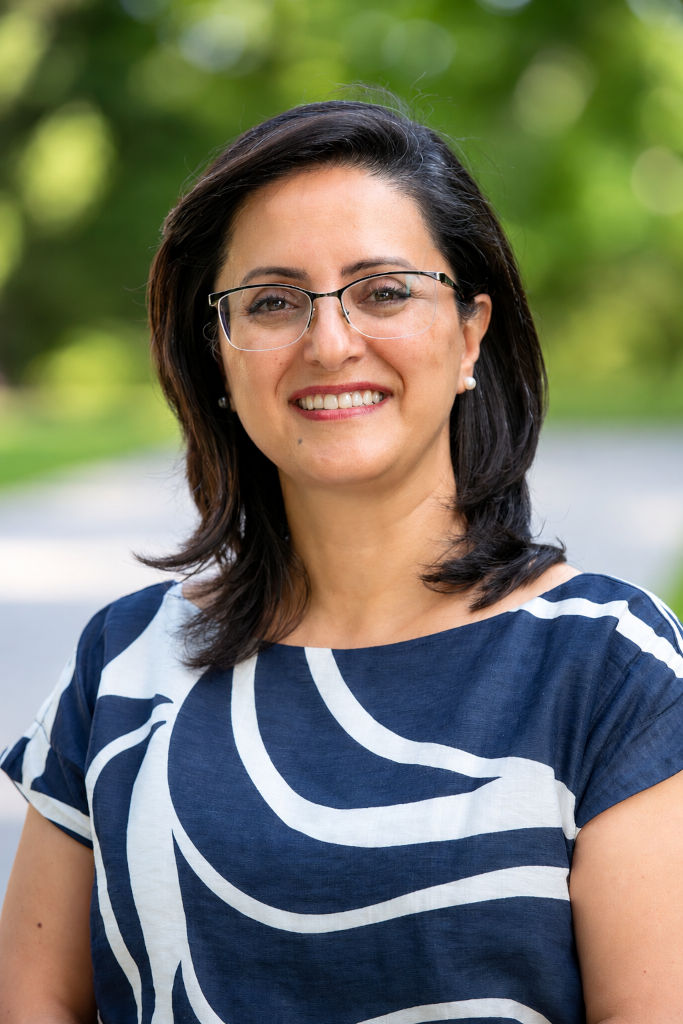 Leili Afsah-Hejri, Ph.D.