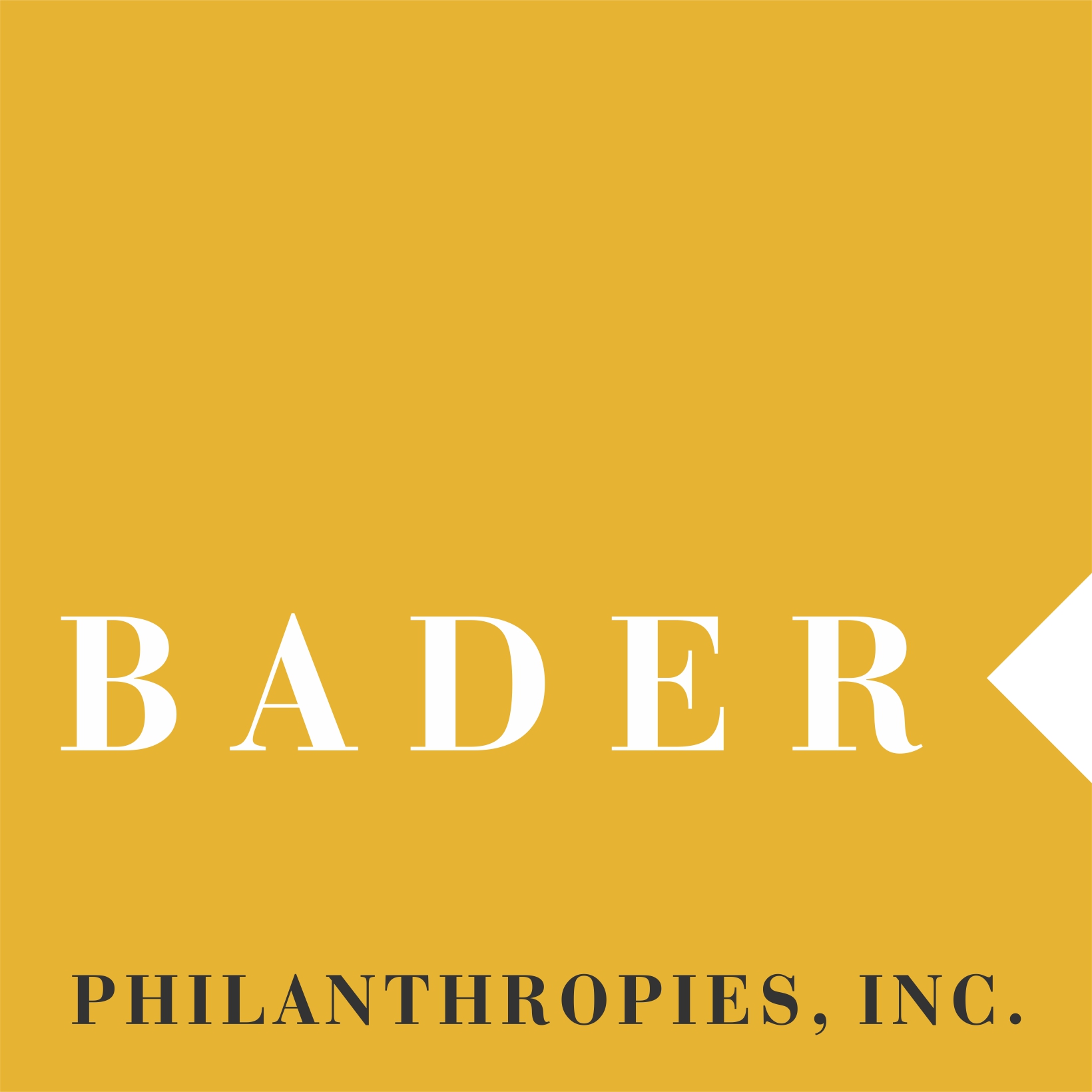 Lakeland receives $100,000 grant from Bader Philanthropies, Inc