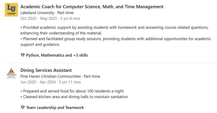Hannah Pratsch LinkedIn Profile Experience