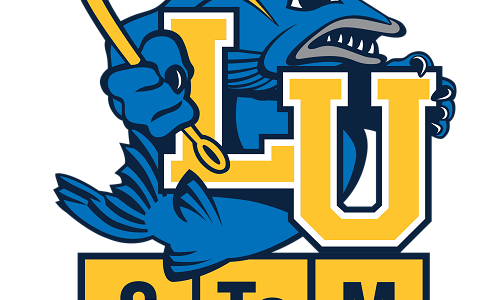 Lakeland Launches Summer STEM Camps for Youth
