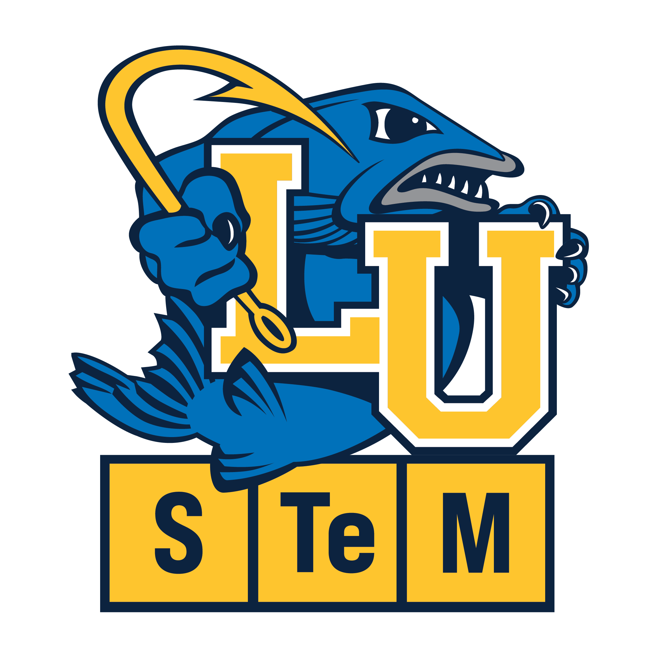 Lakeland Launches Summer STEM Camps for Youth